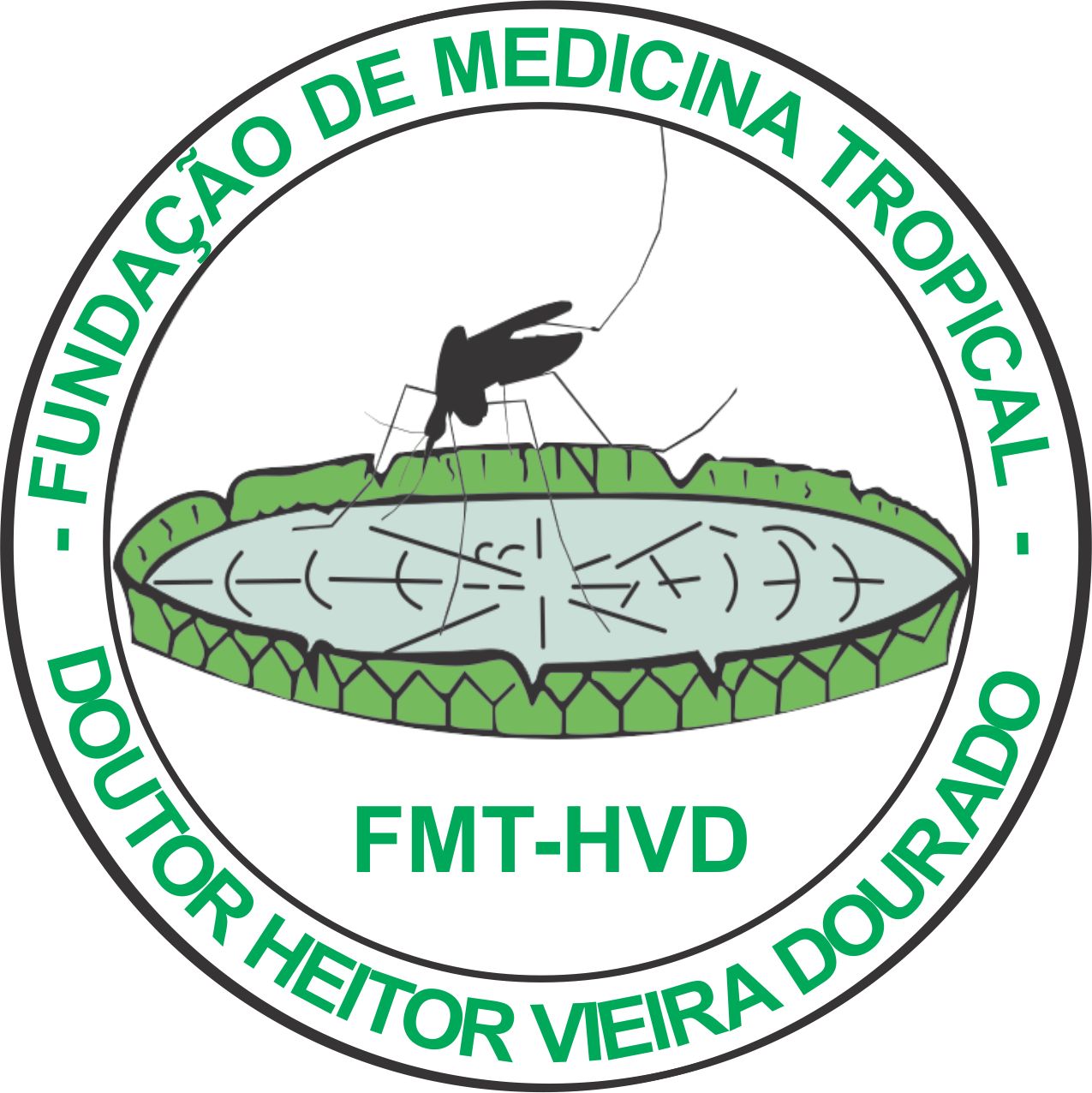 Logotipo FMT